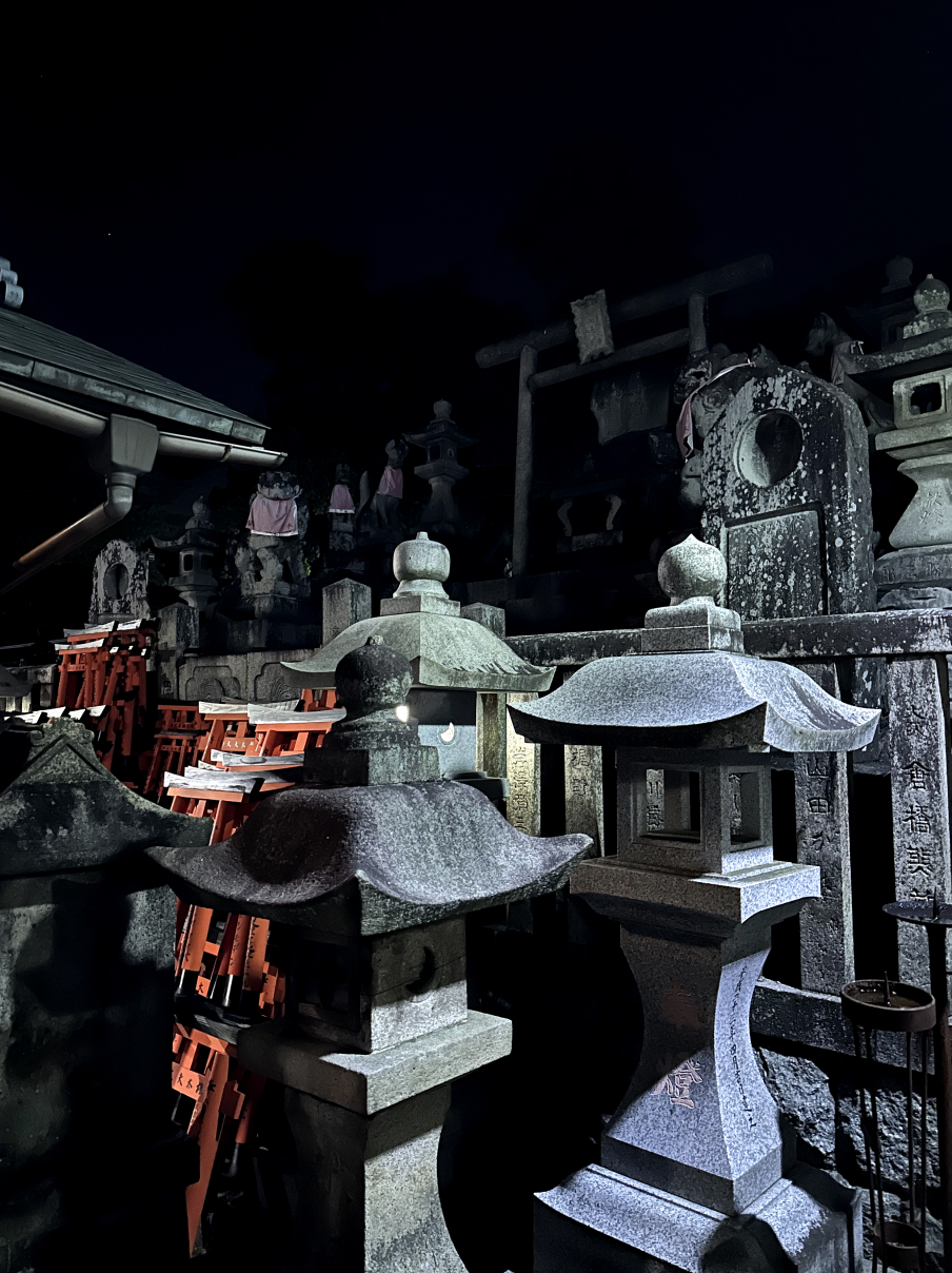 Новая точка на карте: цветущая Япония (фото 28)