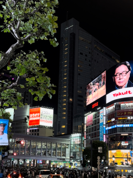 Новая точка на карте: цветущая Япония (фото 13)