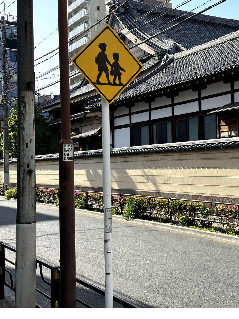 Новая точка на карте: цветущая Япония (фото 5)