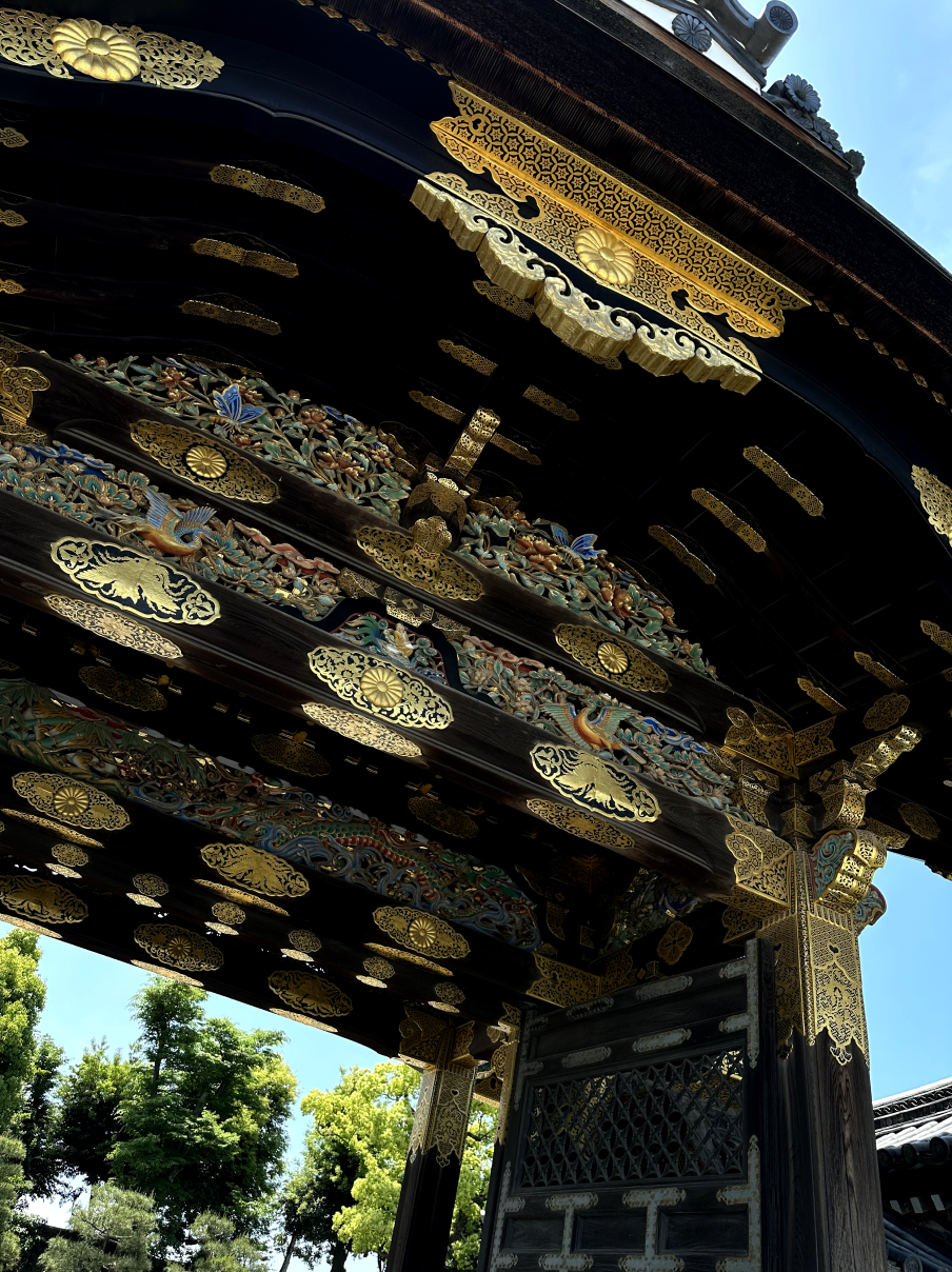 Новая точка на карте: цветущая Япония (фото 36)