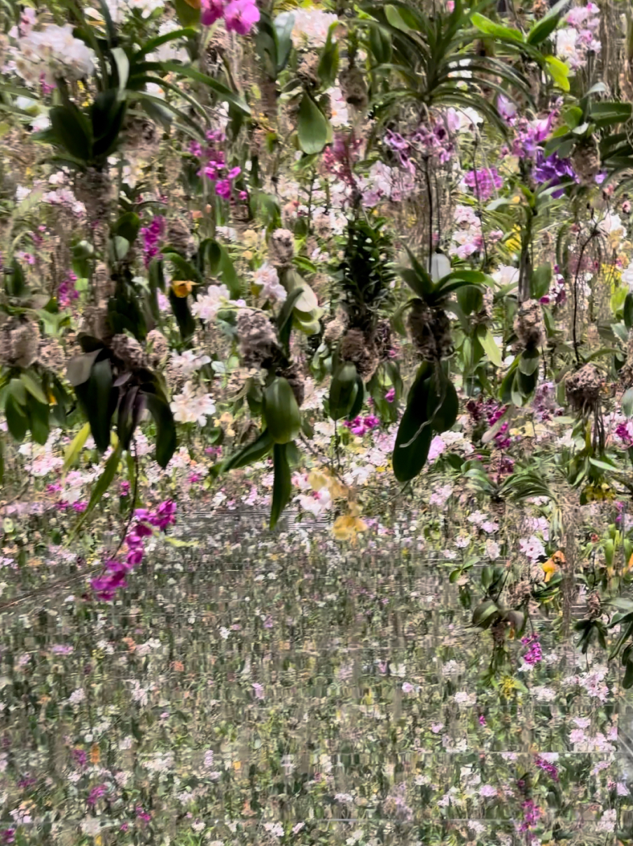 Новая точка на карте: цветущая Япония (фото 42)