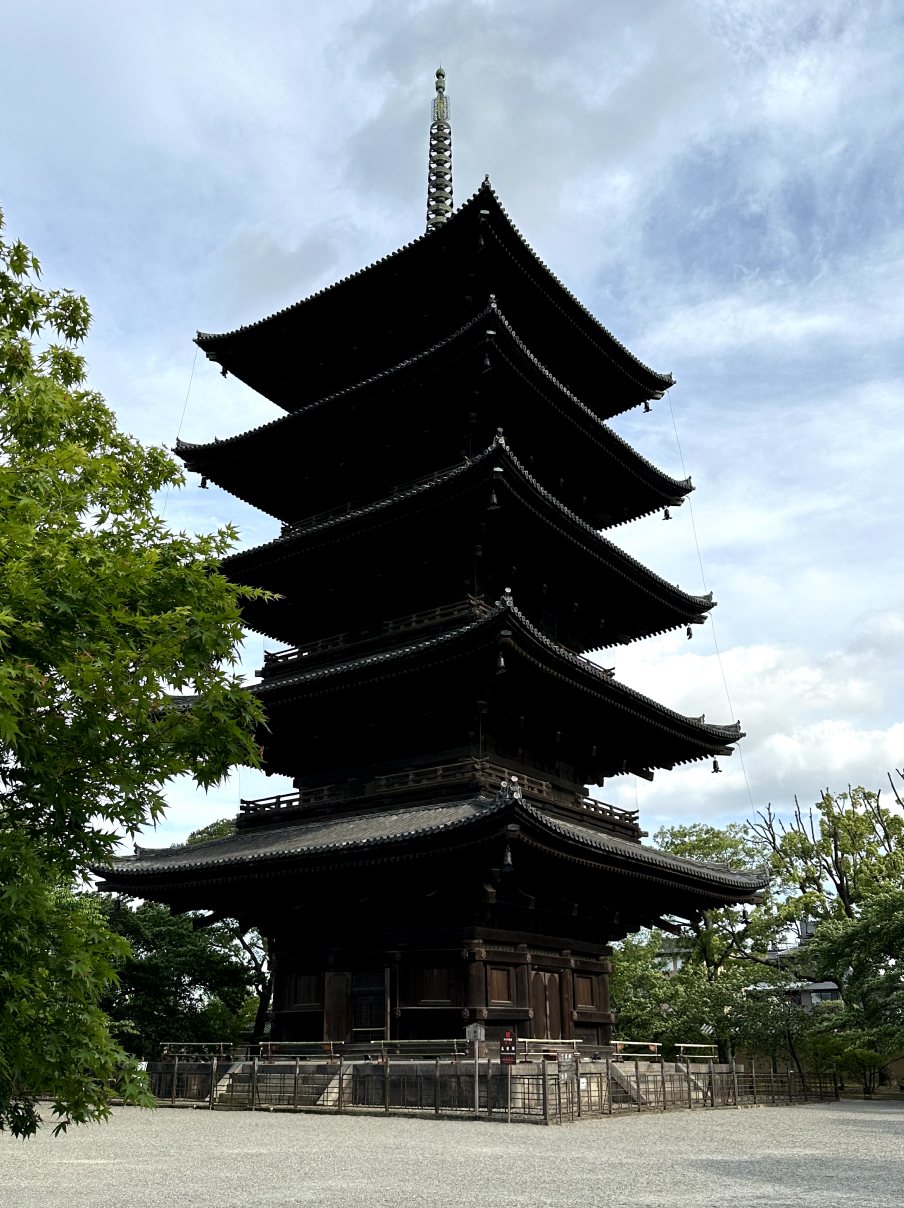 Новая точка на карте: цветущая Япония (фото 35)