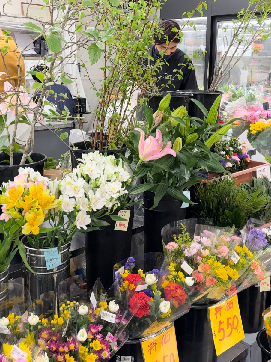 Новая точка на карте: цветущая Япония (фото 10)