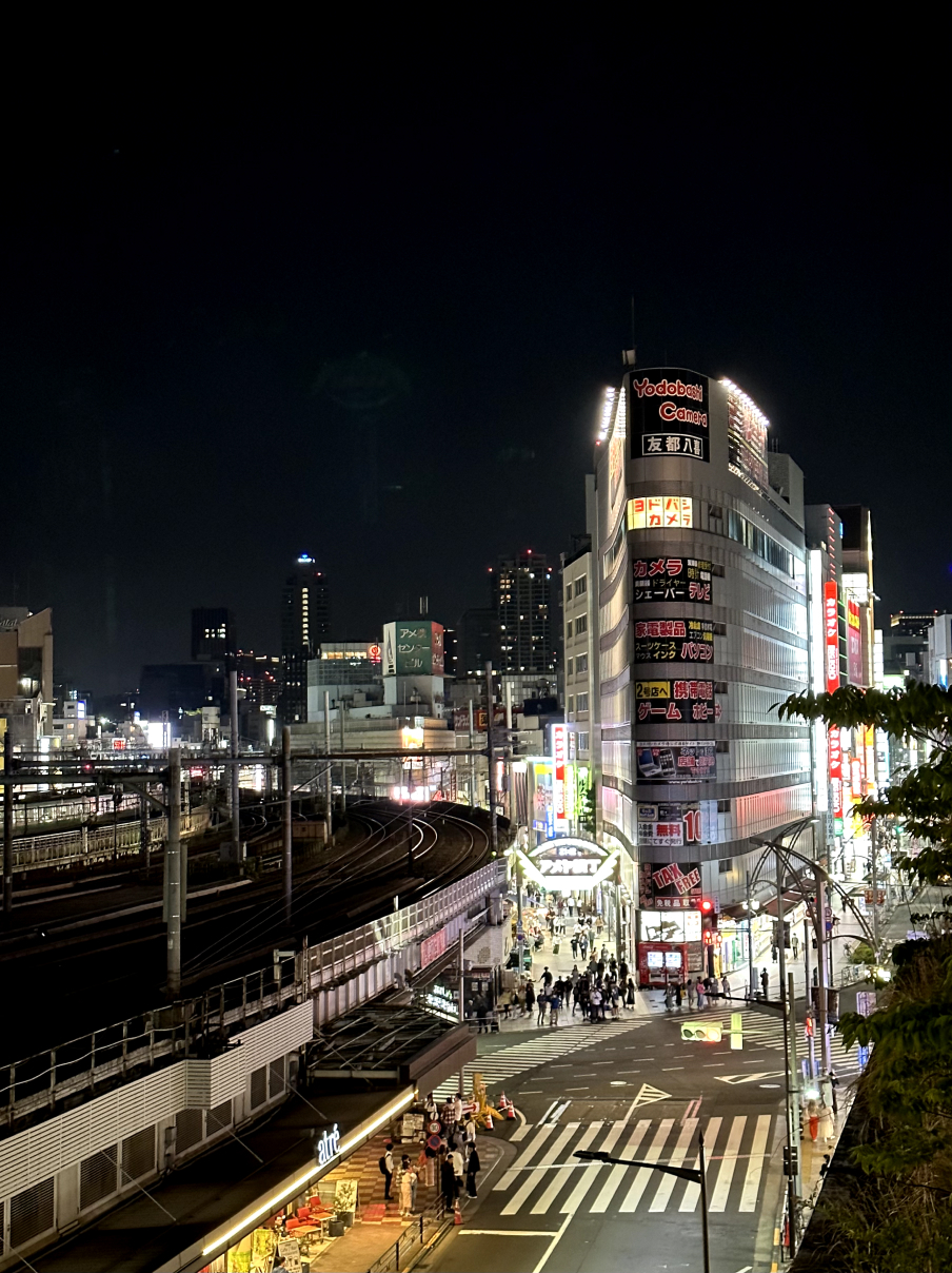 Новая точка на карте: цветущая Япония (фото 4)