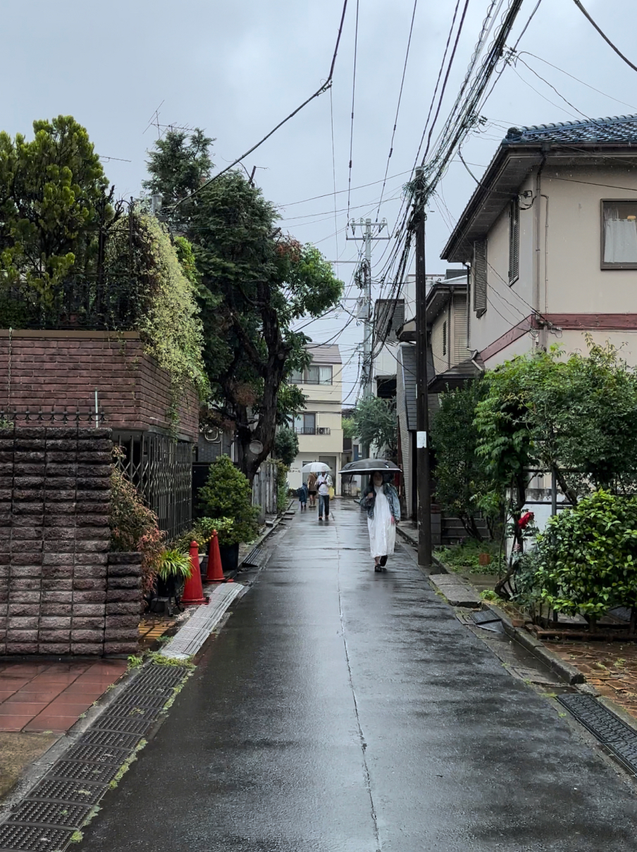 Новая точка на карте: цветущая Япония (фото 26)