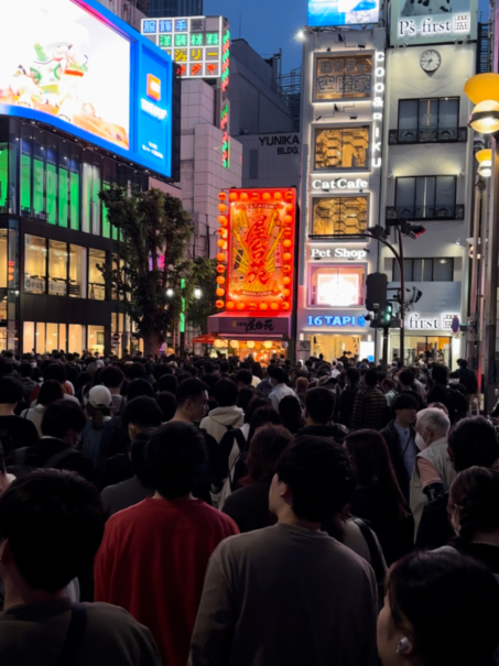 Новая точка на карте: цветущая Япония (фото 12)