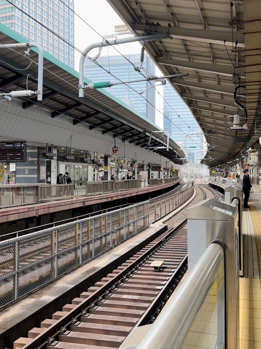 Новая точка на карте: цветущая Япония (фото 1)