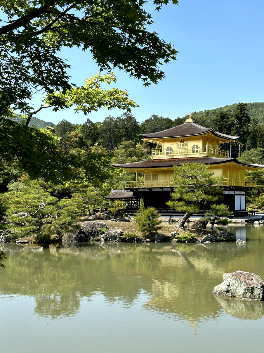 Новая точка на карте: цветущая Япония (фото 2)