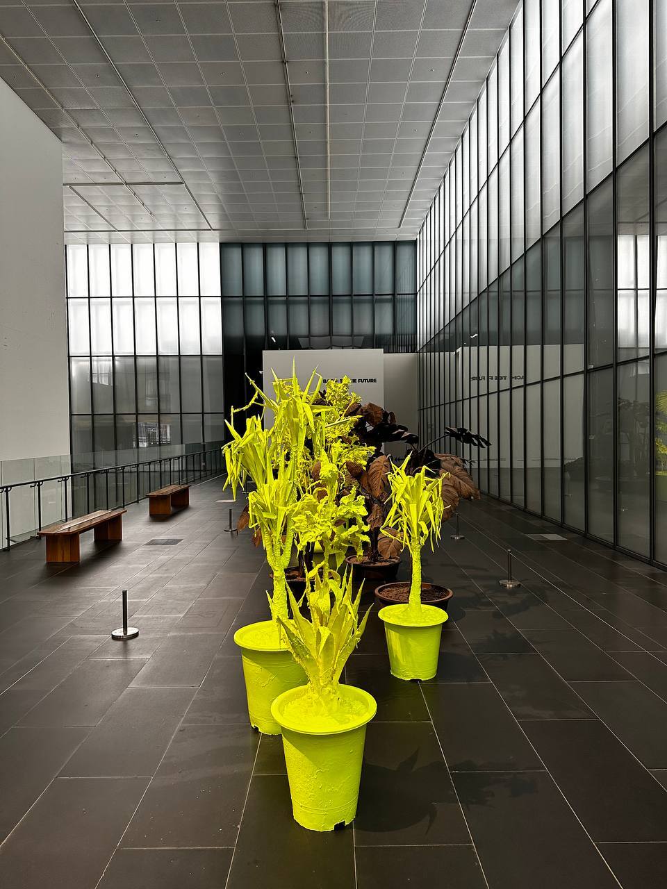 Новая точка на карте: очень (и очень) модный Сеул (фото 77)