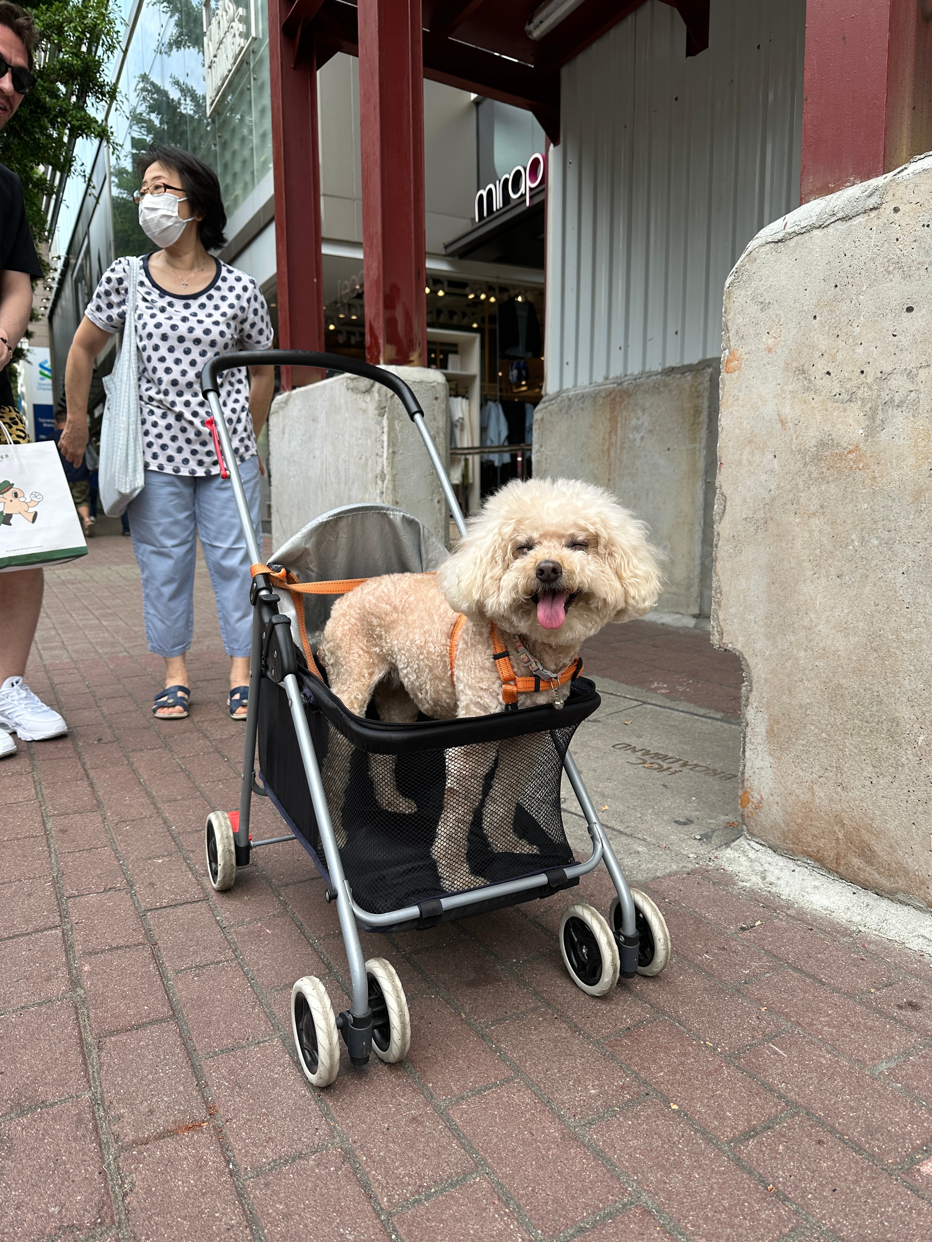 Новая точка на карте: культурный Гонконг (фото 43)