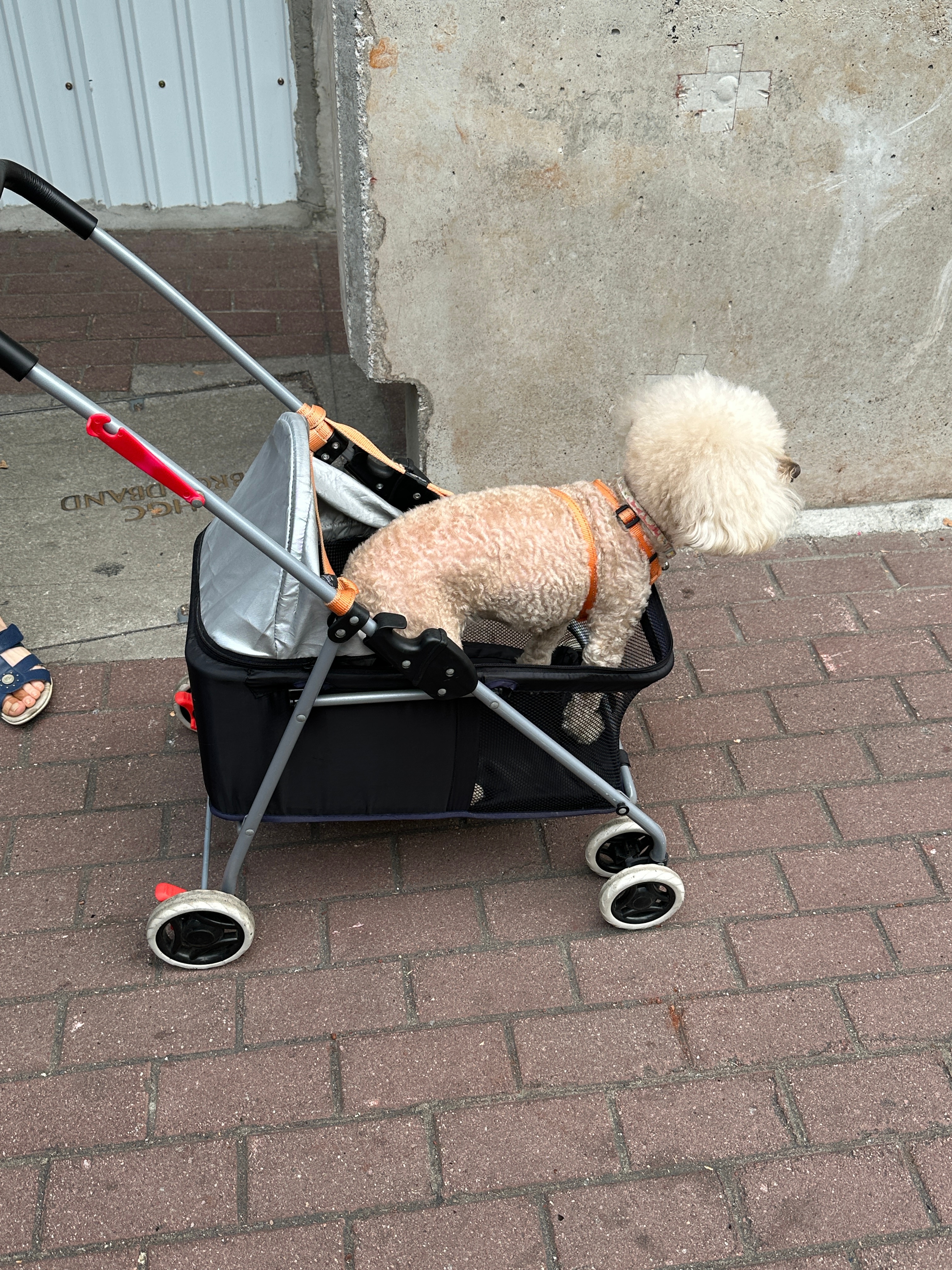 Новая точка на карте: культурный Гонконг (фото 44)