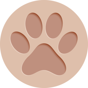 Наталья Давыдова, Ксения Чилингарова и Маргарита Лиева — о секретах дружбы с питомцем (фото 10)