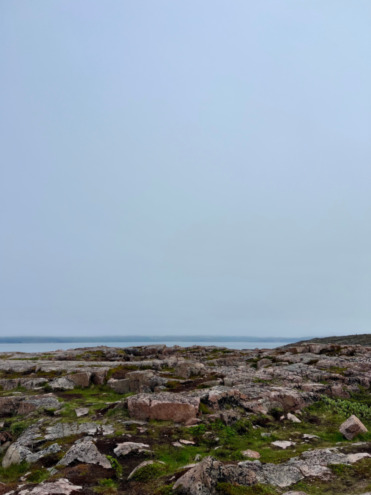 Новая точка на карте: заполярная Териберка (фото 8)