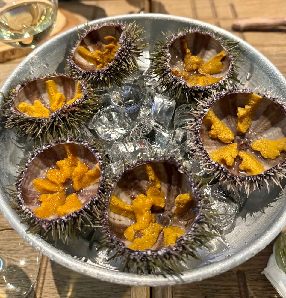 Новая точка на карте: заполярная Териберка (фото 19)