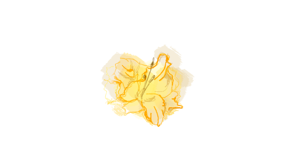 «Мадам Клико»: 5 причин посмотреть реальную историю про женщину в мужском бизнесе (фото 4)