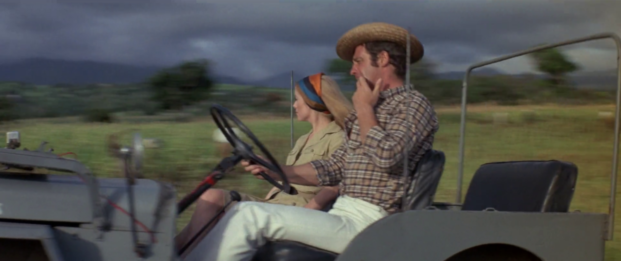 Стиль сафари: от Ива Сен-Лорана до наших дней (фото 29)