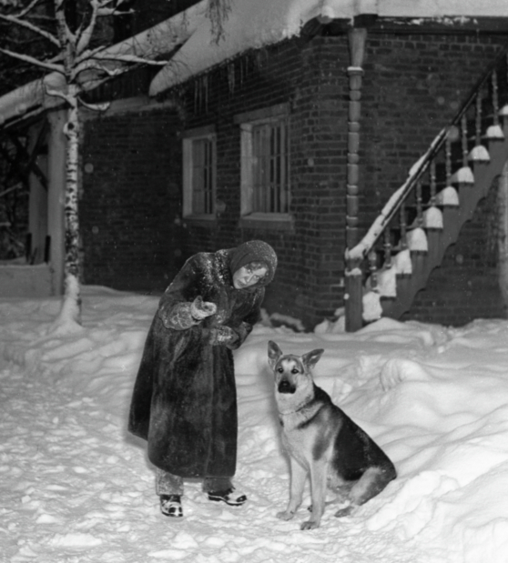 Загородные ретриты тогда и сейчас: от творческих дач к современным домам (фото 19)