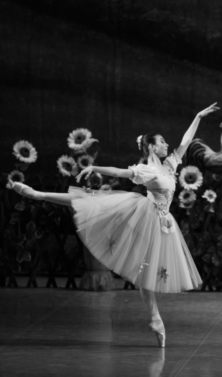 «Лебединое озеро», «Спартак», «Дон Кихот»: какой балет смотреть на фестивале «Сезоны» (фото 7)