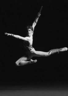 «Лебединое озеро», «Спартак», «Дон Кихот»: какой балет смотреть на фестивале «Сезоны» (фото 33)