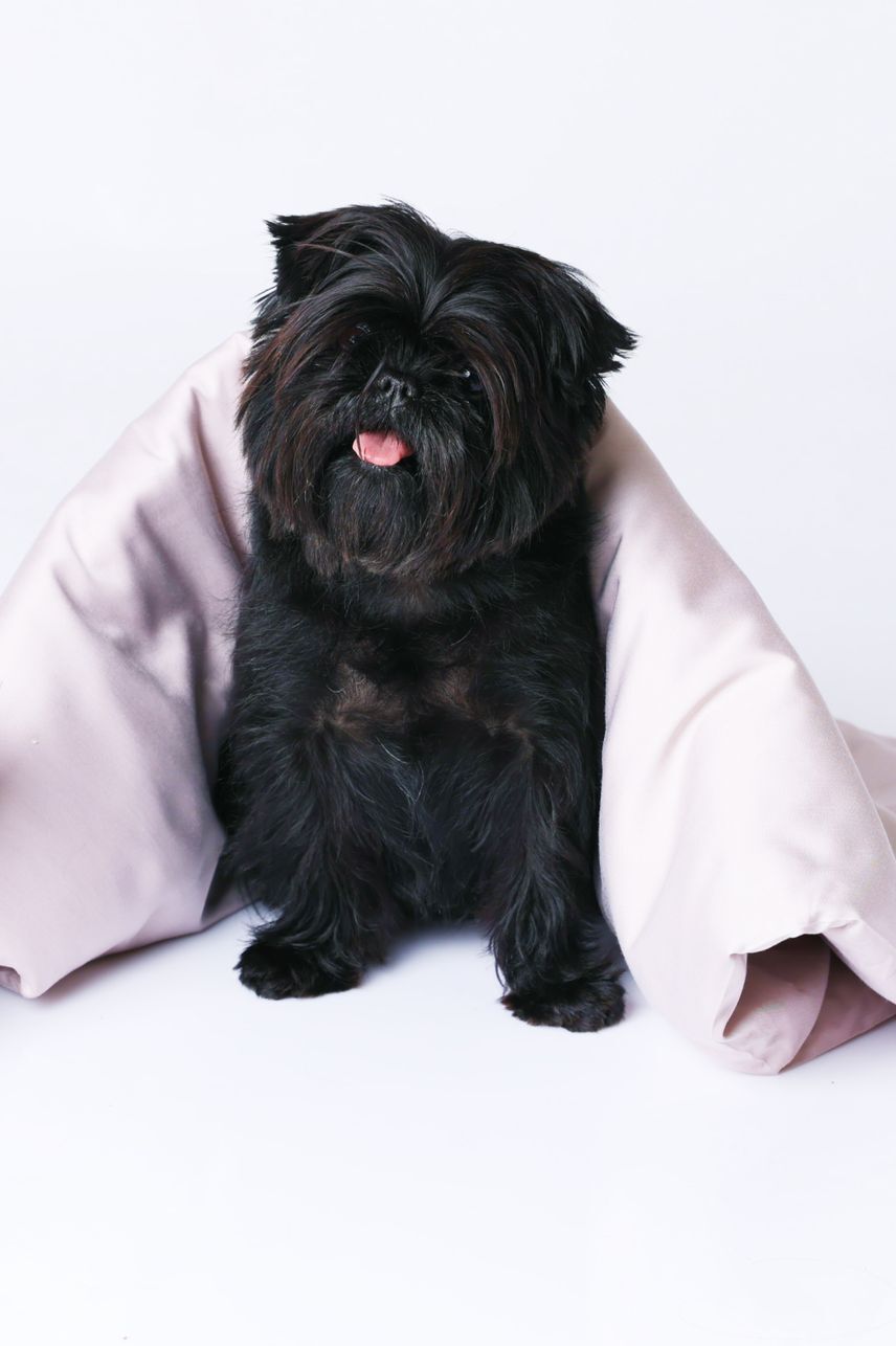 Маркет дизайнеров, модный дом и лимитированные новинки: 10 причин посетить СТОКМАНН (фото 18)