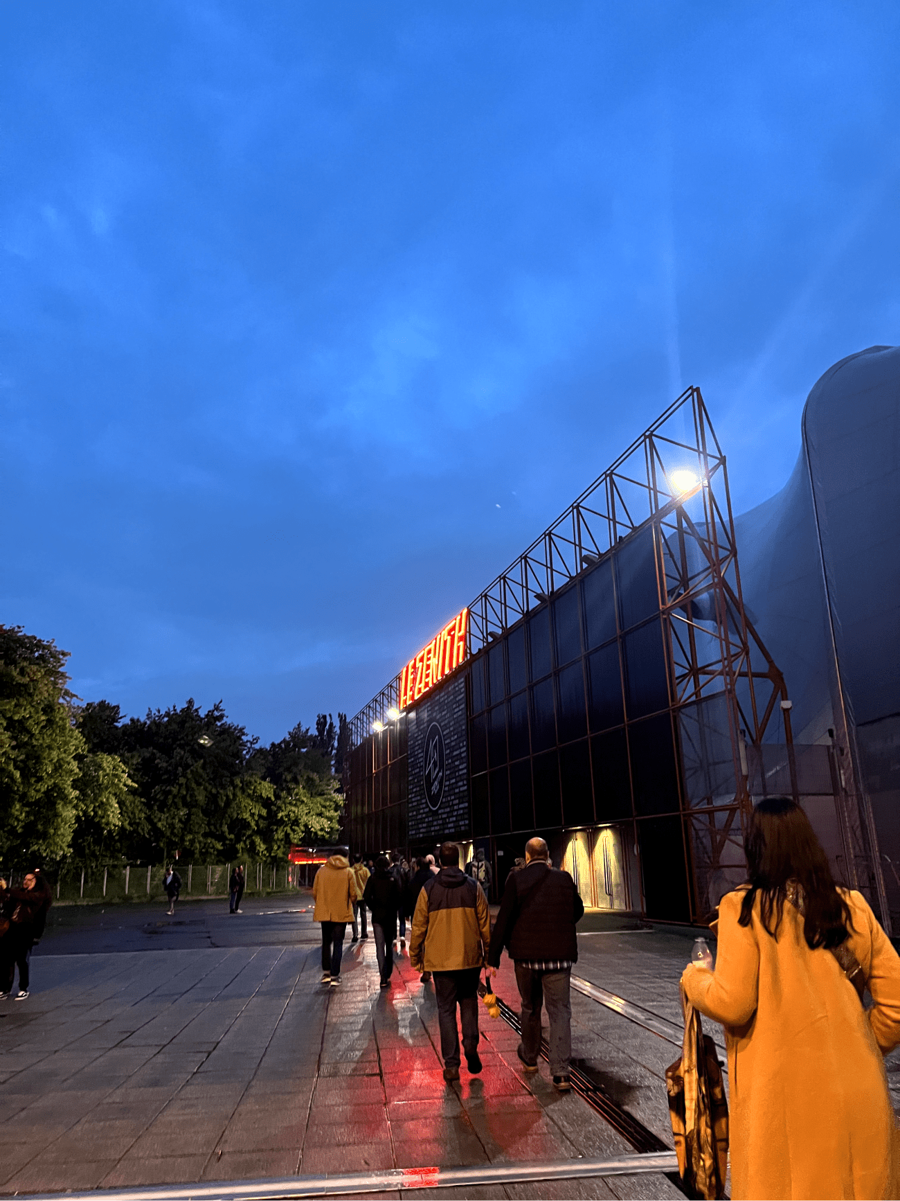 Дебют Luis De Javier и первый показ Dries Van Noten без Дриса: чем запомнилась Неделя моды в Париже продюсеру BURO. Полине Влади (фото 23)