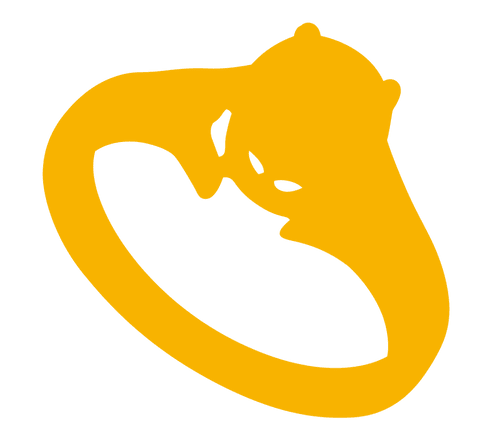 «Удовольствие от каждого дня и от всего, что делаешь»: Елена Царева — о вдохновении и винном бизнесе (фото 3)