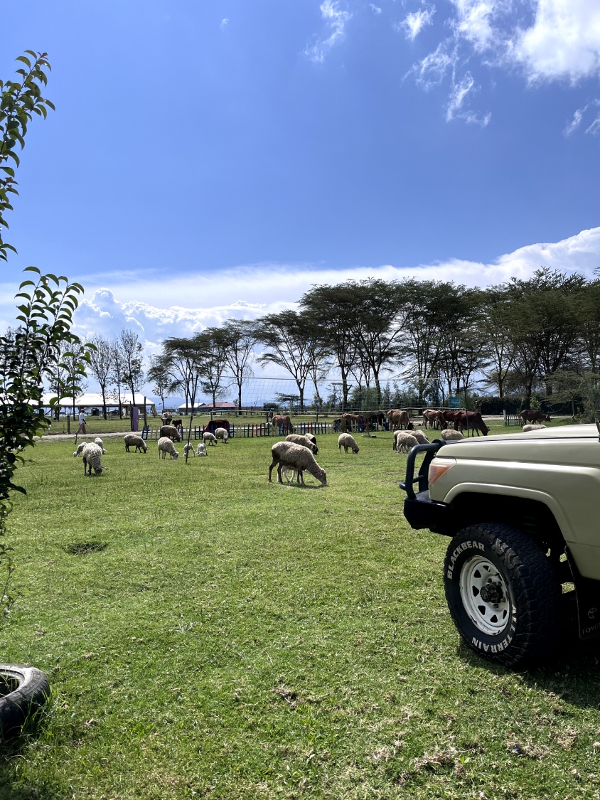 Новая точка на карте: заповедная Кения (фото 11)