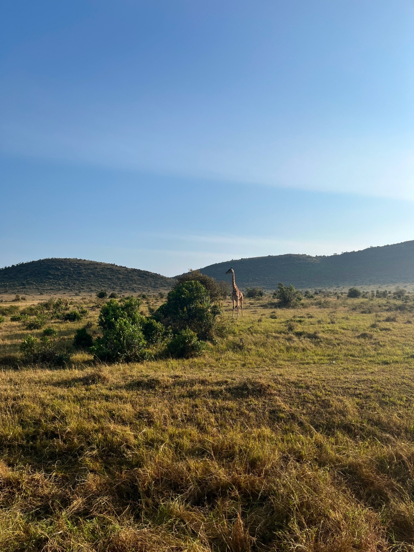 Новая точка на карте: заповедная Кения (фото 6)