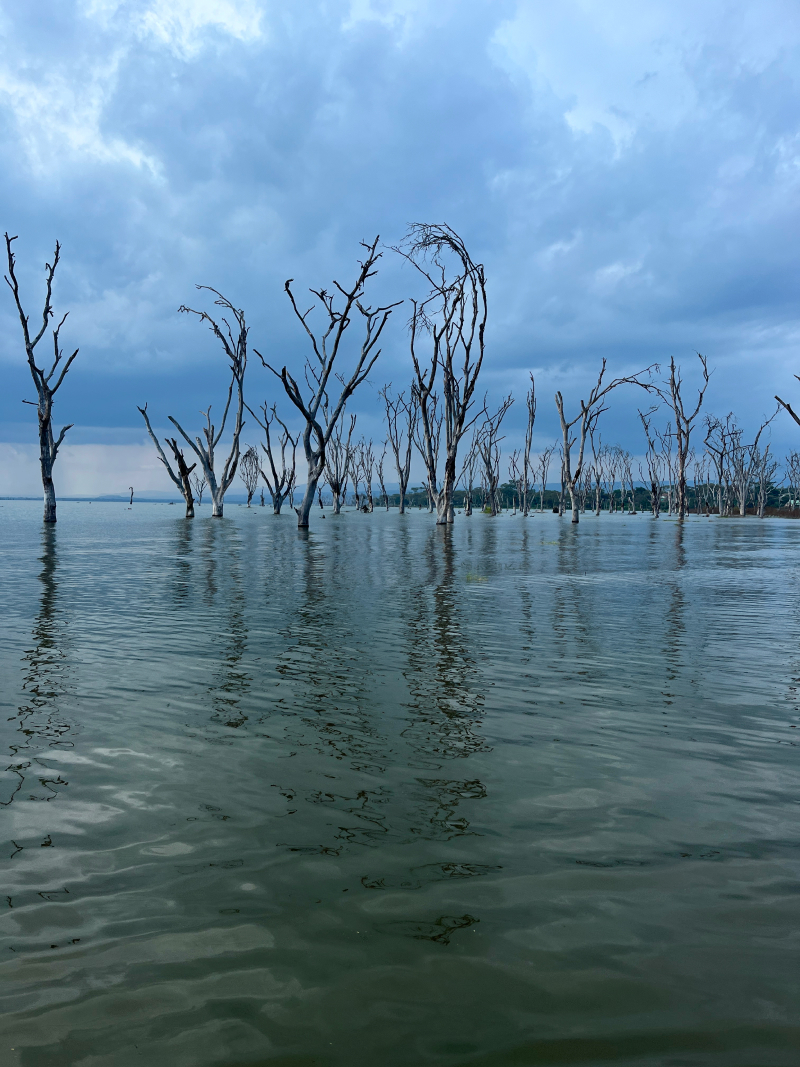Новая точка на карте: заповедная Кения (фото 16)
