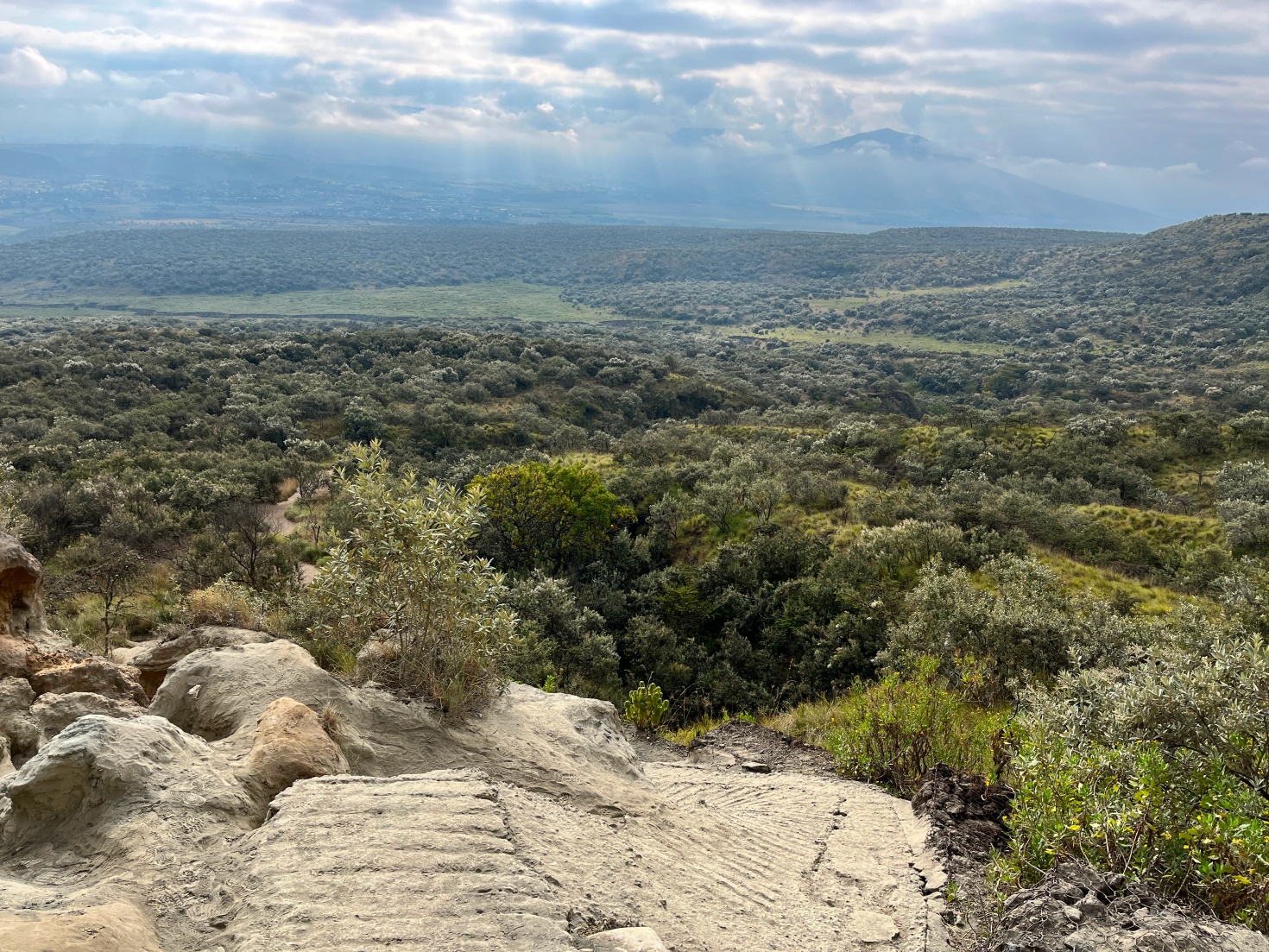 Новая точка на карте: заповедная Кения (фото 26)
