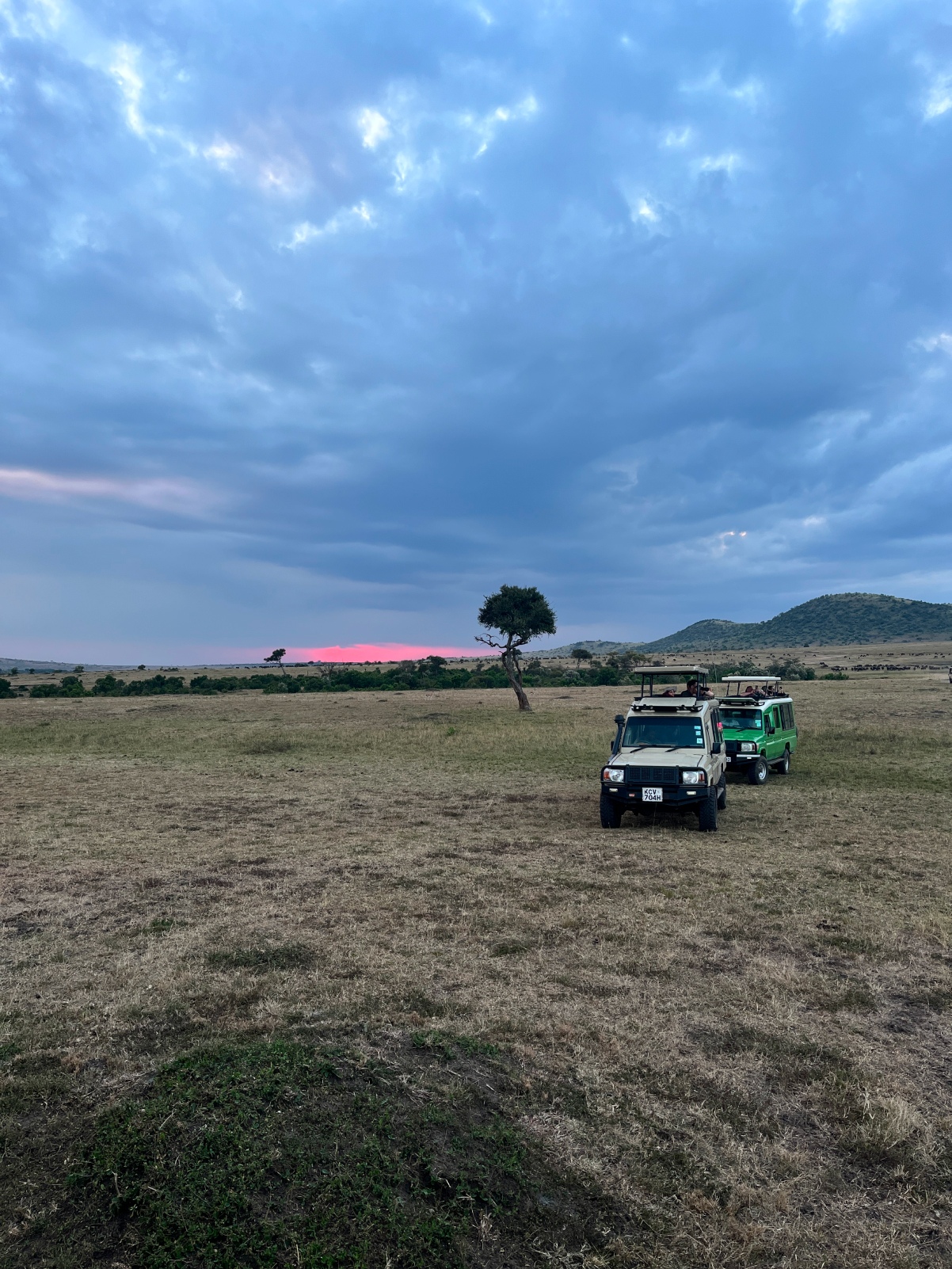 Новая точка на карте: заповедная Кения (фото 7)