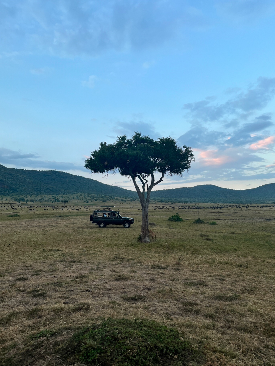 Новая точка на карте: заповедная Кения (фото 5)