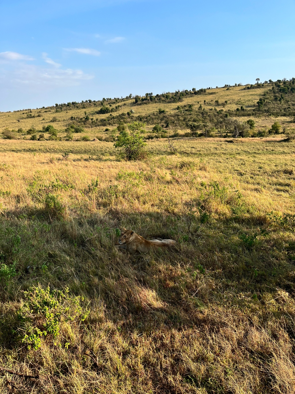 Новая точка на карте: заповедная Кения (фото 9)