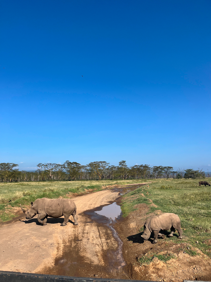 Новая точка на карте: заповедная Кения (фото 14)