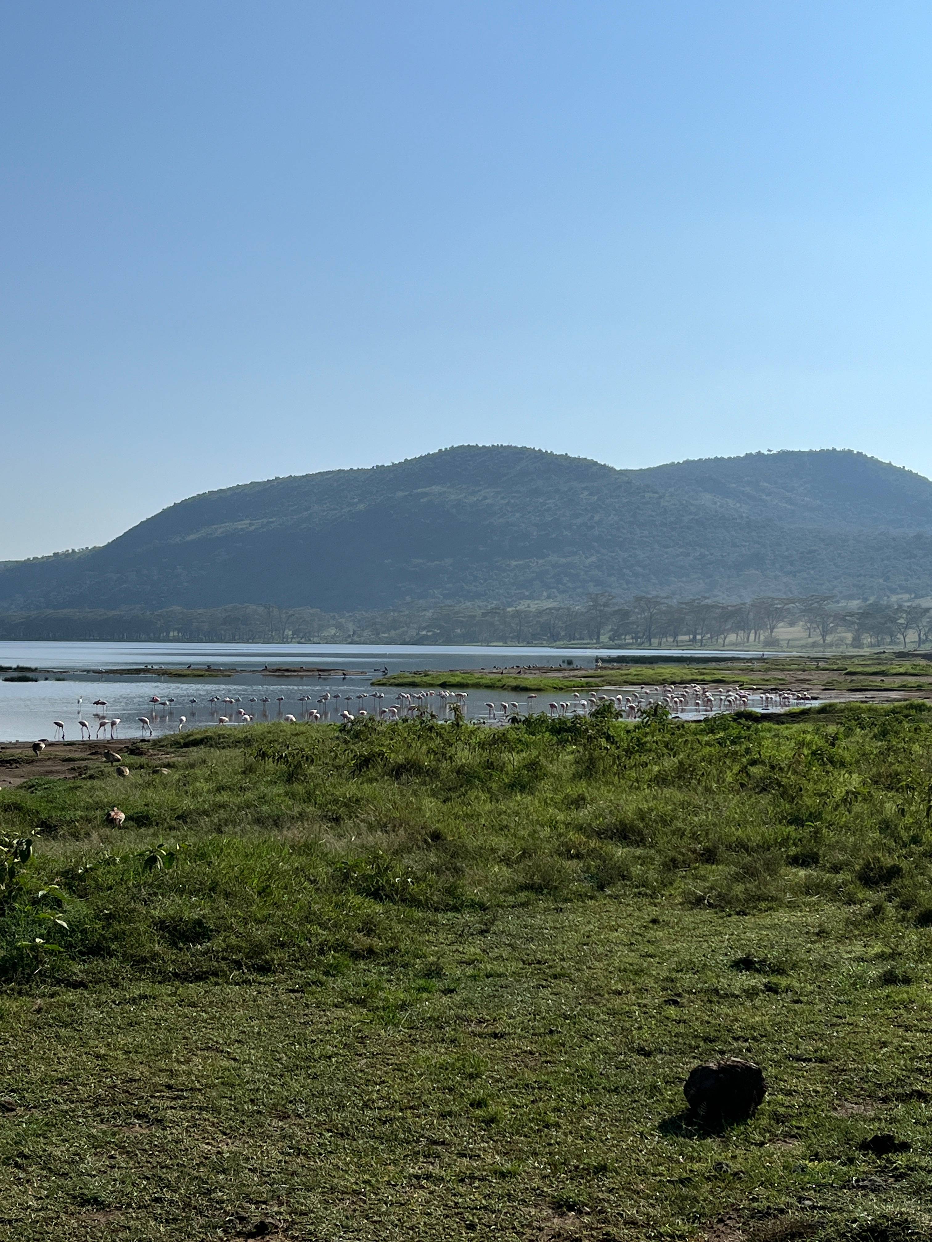 Новая точка на карте: заповедная Кения (фото 19)