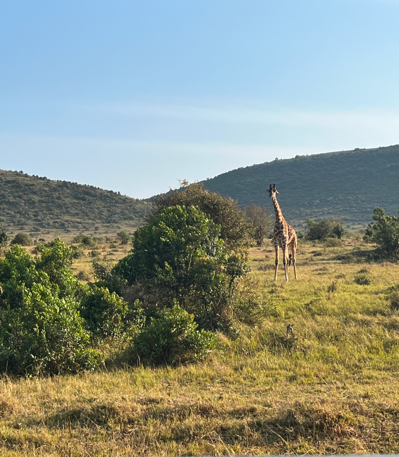 Новая точка на карте: заповедная Кения (фото 8)