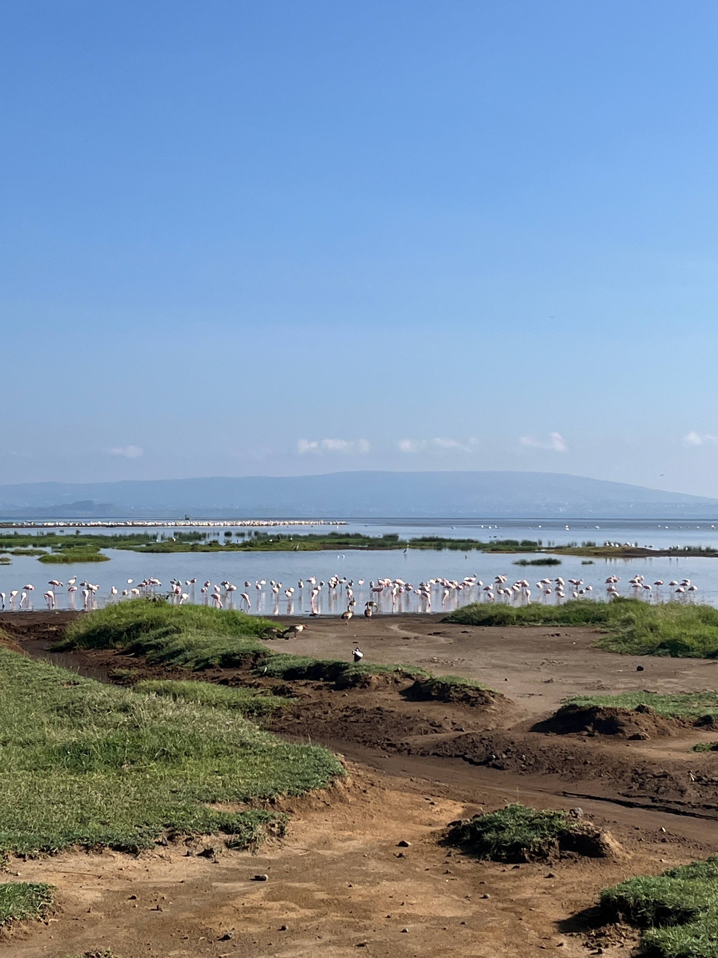 Новая точка на карте: заповедная Кения (фото 21)