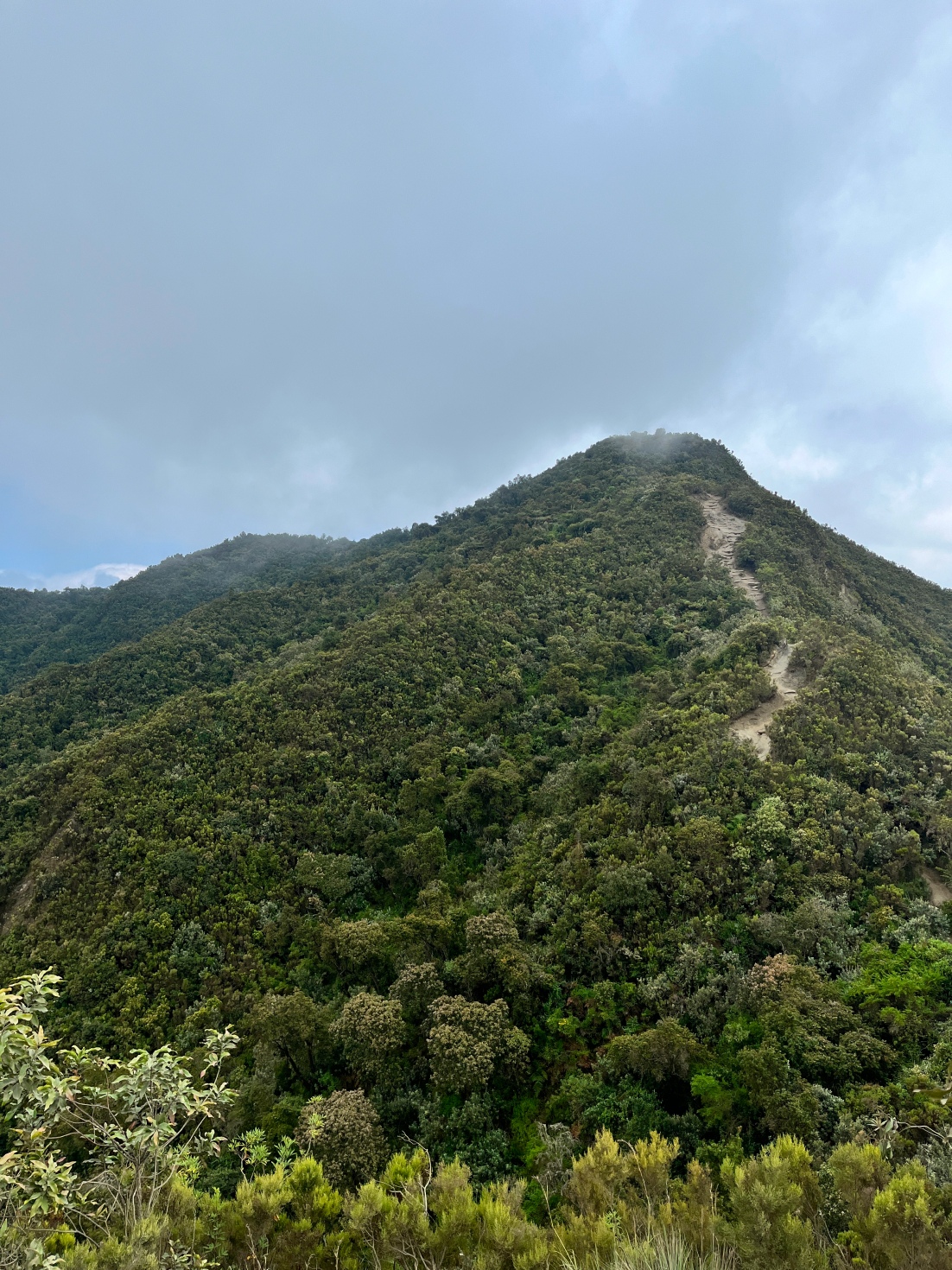 Новая точка на карте: заповедная Кения (фото 25)