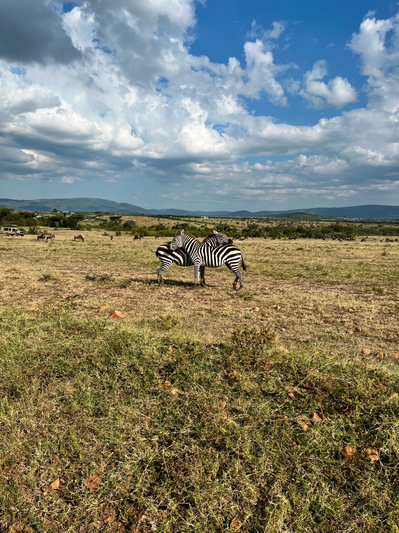 Новая точка на карте: заповедная Кения (фото 17)