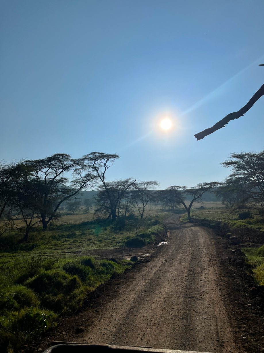 Новая точка на карте: заповедная Кения (фото 20)