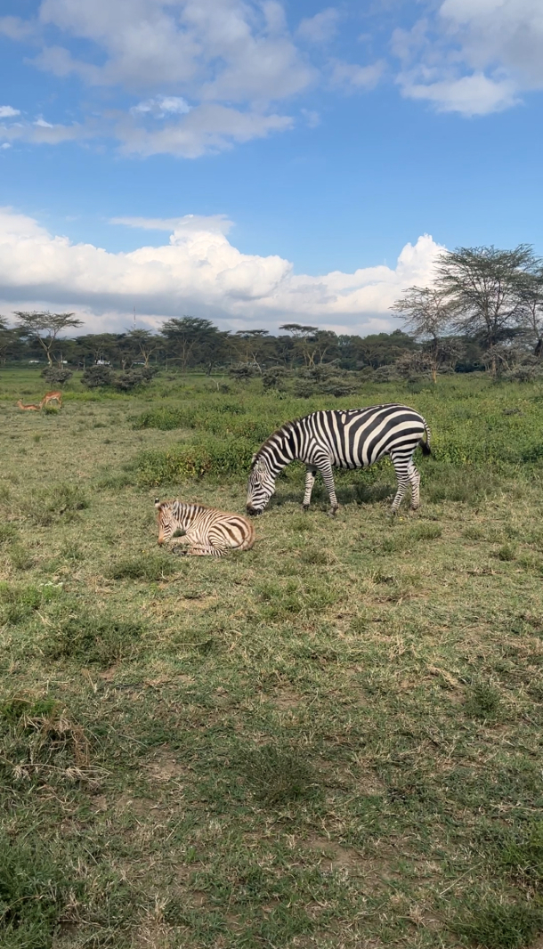 Новая точка на карте: заповедная Кения (фото 13)