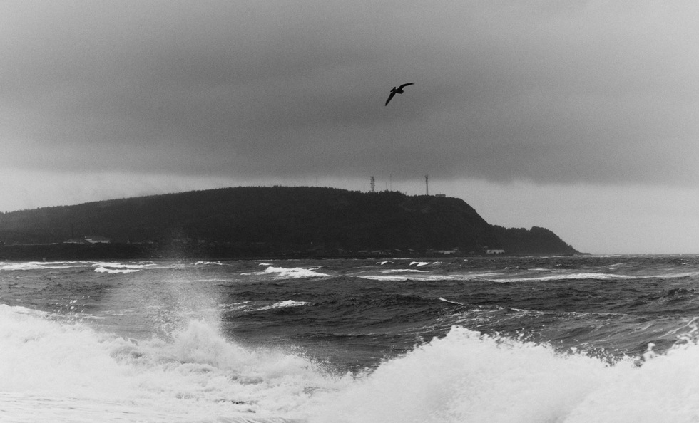 Человек, влюбленный в Сахалин: остров глазами Михаила Халилуллина (фото 8)