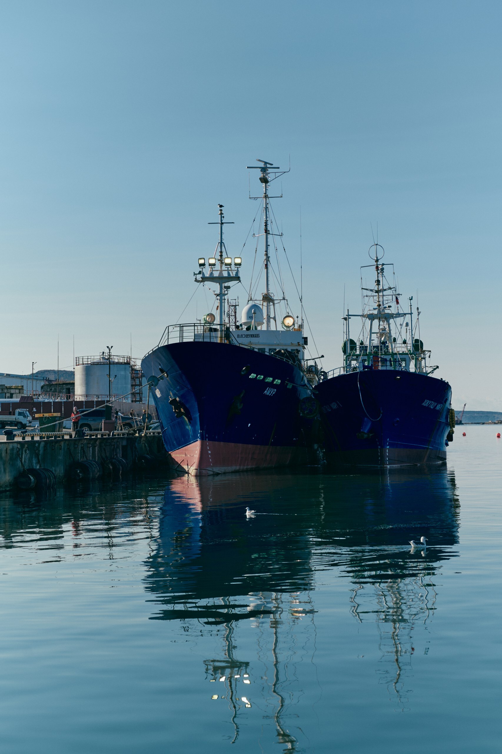 Человек, влюбленный в Сахалин: остров глазами Михаила Халилуллина (фото 10)