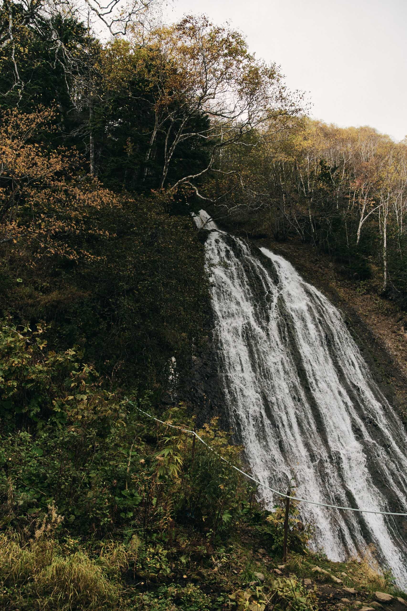 Человек, влюбленный в Сахалин: остров глазами Михаила Халилуллина (фото 36)
