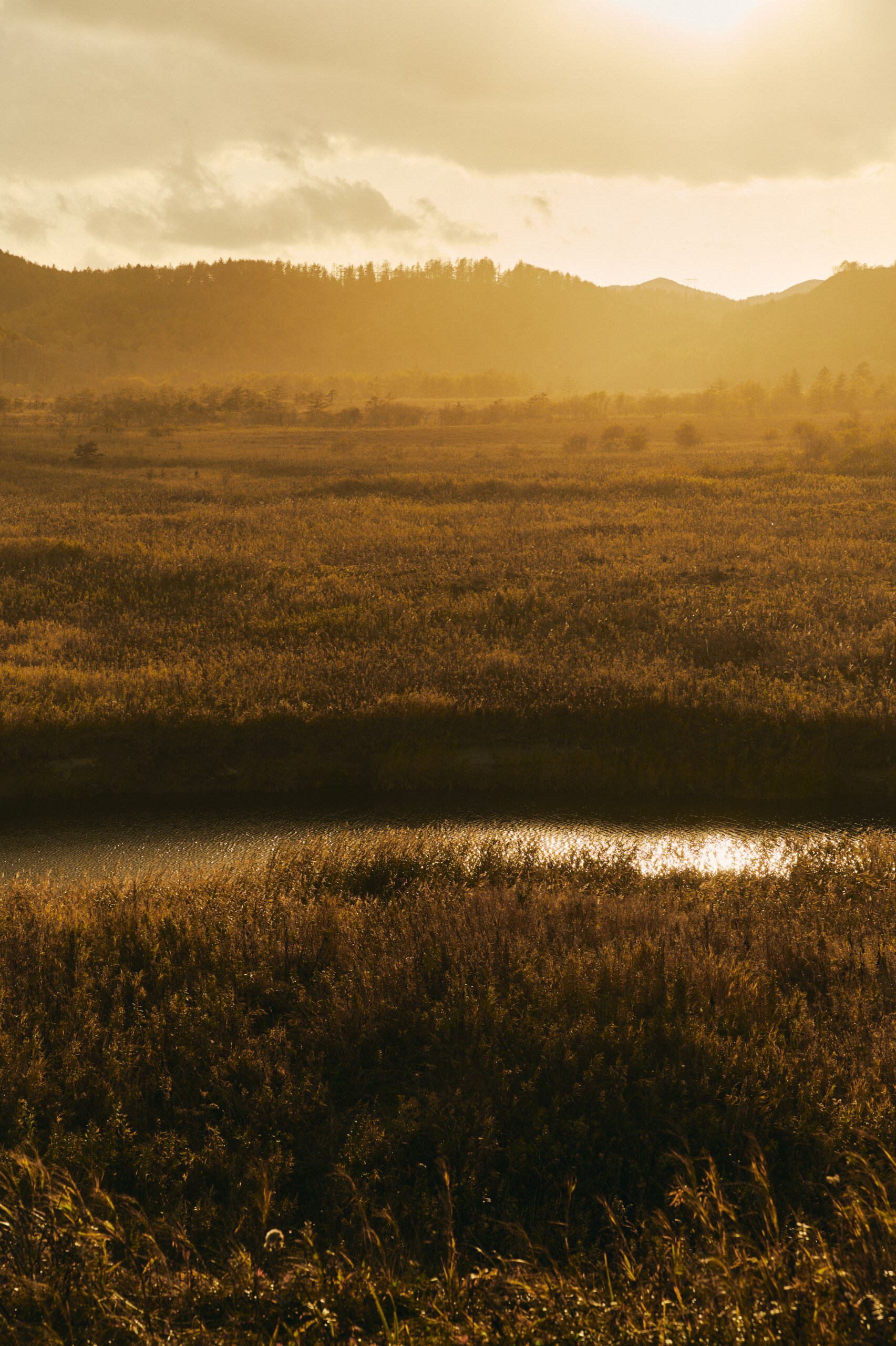 Человек, влюбленный в Сахалин: остров глазами Михаила Халилуллина (фото 32)