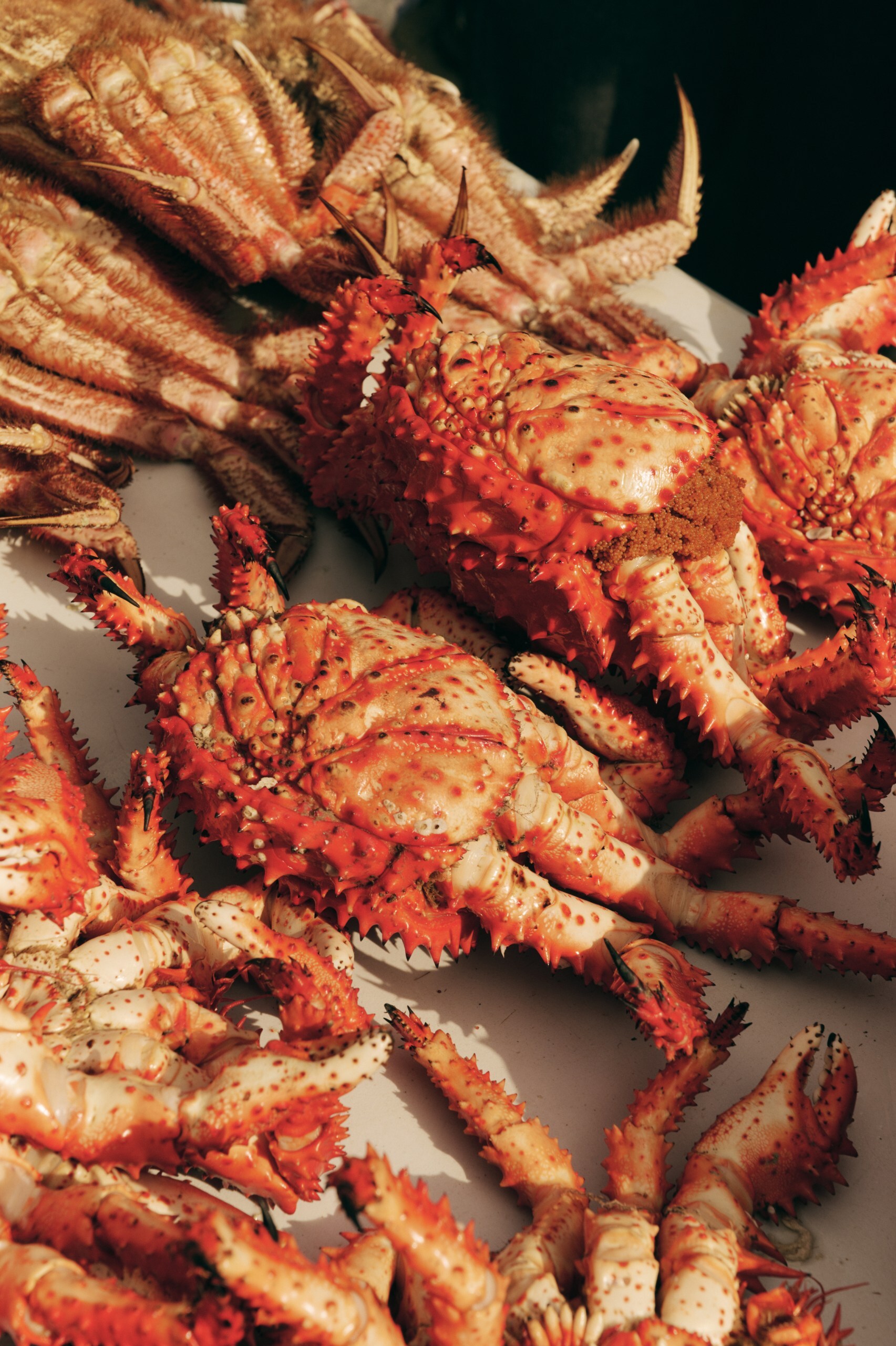 Человек, влюбленный в Сахалин: остров глазами Михаила Халилуллина (фото 35)