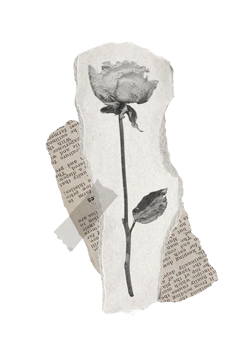 Классовое неравенство и братья-близнецы: как латиноамериканские сериалы изменились за десятилетия (фото 3)