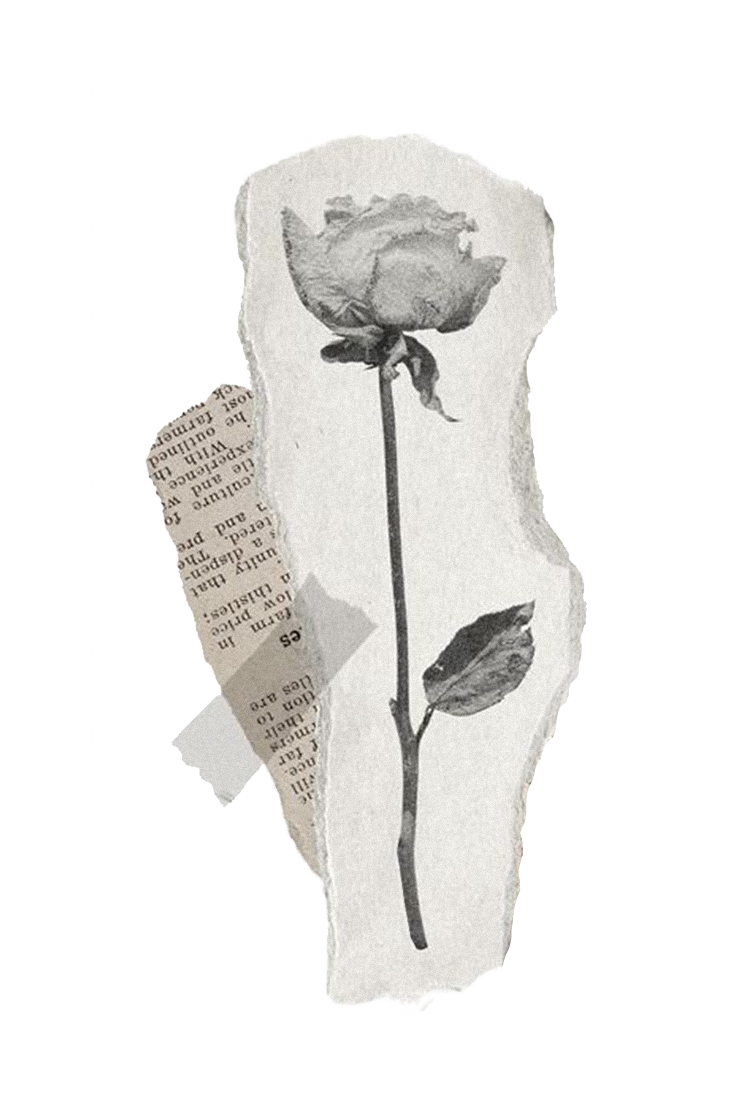 Классовое неравенство и братья-близнецы: как латиноамериканские сериалы изменились за десятилетия (фото 10)