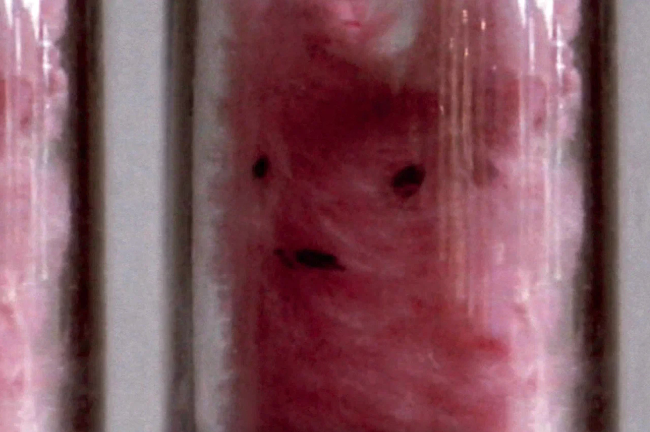 Отыграть назад: 20 лет галереи Ruarts в 20 главных выставках (фото 13)