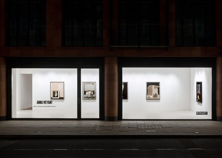 Лука Гуаданьино, Charli XCX, Зендея, Джереми Аллен Уайт и еще 15 лиц 2024 года (фото 72)